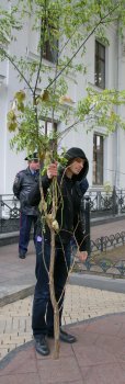 Под стенами мэрии