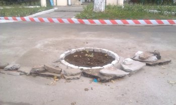 Санаторий «Белая акация» восстановит ранее забетонированные приствольные лунки