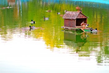 Осенняя пора - очей очарованье…
