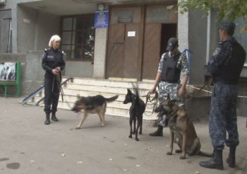 Действия телефонных «минеров» не останутся безнаказанными