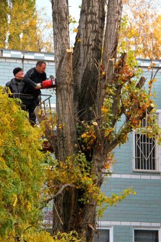 При содействии Геннадия Труханова в детском саду ликвидирована аварийная ситуация