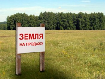 В регионе  проходит процедура госзакупок по подготовке лотов к проведению в 2013 году земельных торгов в форме аукциона