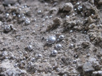 В Одесской области осуждены двое граждан за сбыт особо опасного вещества