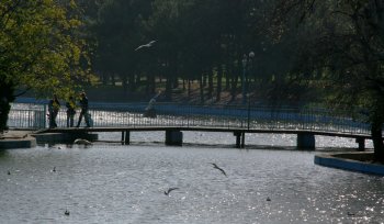 В парке Победы сейчас красиво! (фото)