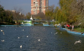 В парке Победы сейчас красиво! (фото)