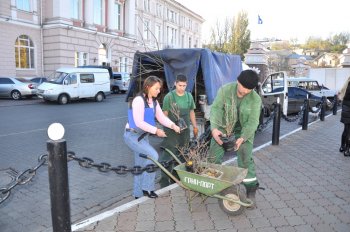 Молодежь Одесского порта провела акцию «Посади свое дерево»