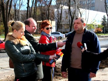 На Французском бульваре высадили еще 62 дерева
