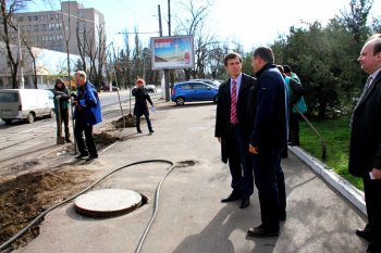 На Французском бульваре высадили еще 62 дерева