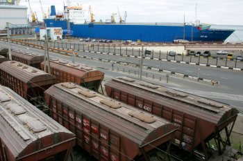 Причина очереди в портах из-за длительного скарирования GPS-пломб