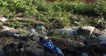 Строительство буны в Крыжановке законно