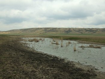 Начаты работы по установлению водоохранной зоны и прибрежной защитной полосы вдоль реки Большой Куяльник