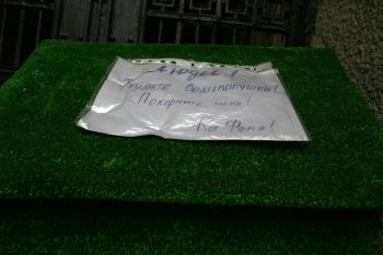 Знаменитому одесскому коту Феде выделили жилье