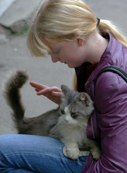 Знаменитому одесскому коту Феде выделили жилье