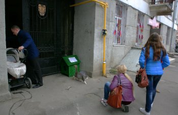 Знаменитому одесскому коту Феде выделили жилье
