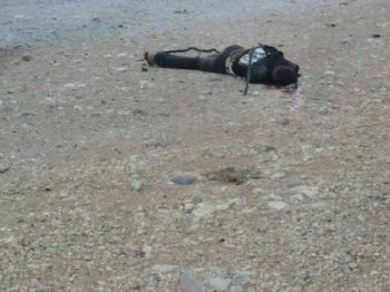 Сводка событий в Сирии за 11 ноября