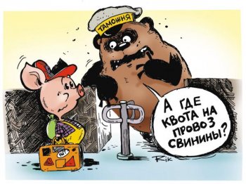 Более 100 протоколов в нарушении таможенных правил составили на Южной таможне