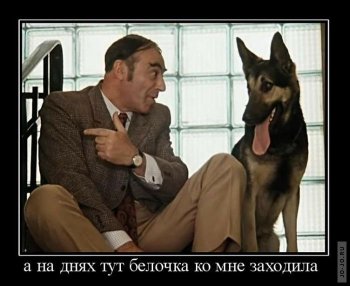 Наблюдательный житель Ильичевска помог милиции раскрыть кражу
