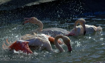 Маленькие одесситы провели сегодняшний день с Бабой Ягой