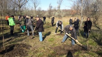 В Киевском районе Одессы высадили более 700-т деревьев