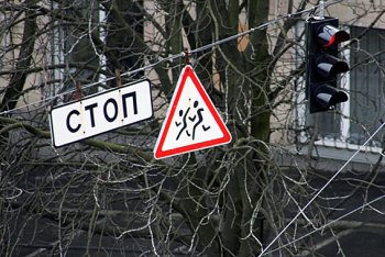 В ГАИ подвели итоги Недели безопасного дорожного движения