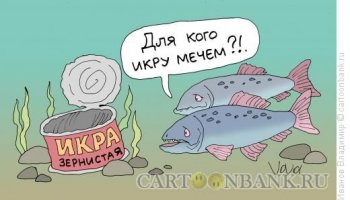 Очаровательная одесситка похитила из супермаркета 6 банок лососевой икры