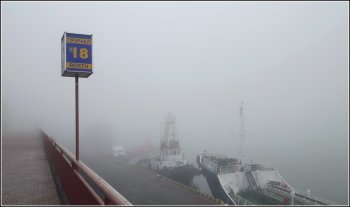 Госавтоинспекция Одесской области предупреждает: туман и дождь!