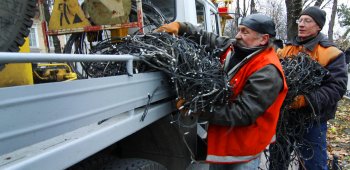 Деревья Приморского бульвара спасены от проводов