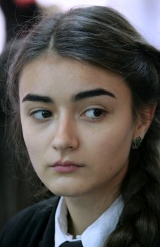 Школьный телемост