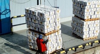 Украинские морпорты сократили перевалку грузов на 3,6%