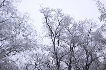 Прогноз погоды по Одессе и области на 13 - 17 декабря
