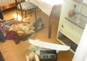 Одесская область: Задержана злоумышленница, обворовавшая дом соседки (фото)