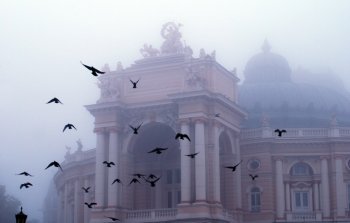 Утренние туманы накроют Одессу:  Прогноз погоды на 18 - 22 декабря