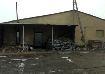 Масштабы вырубки дубового леса в Одесской области поражают!(фото)