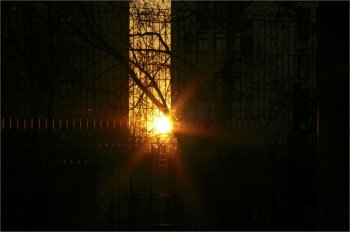 Девять лет проведет в тюрьме котовчанин на убийство пенсионерки