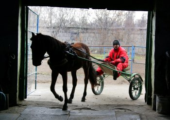 Одесский ипподром: Блеск и... нынешнее состояние