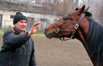Одесский ипподром: Блеск и... нынешнее состояние