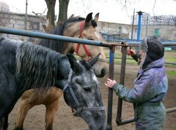 Одесский ипподром: Блеск и... нынешнее состояние