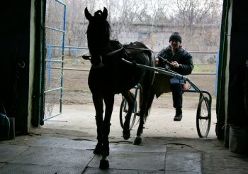 Одесский ипподром: Блеск и... нынешнее состояние