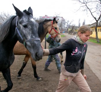 Одесский ипподром: Блеск и... нынешнее состояние