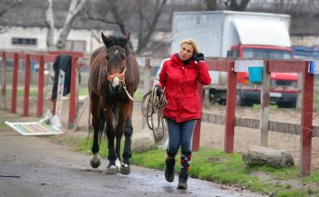 Одесский ипподром: Блеск и... нынешнее состояние