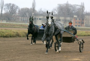 Одесский ипподром: Блеск и... нынешнее состояние