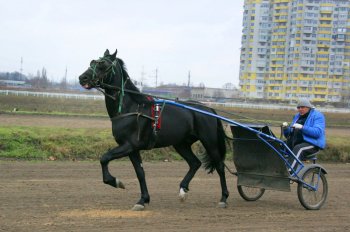 Одесский ипподром: Блеск и... нынешнее состояние