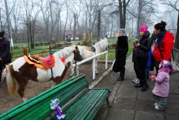 Как в Одесском зоопарке 2014 год встречали (фото)
