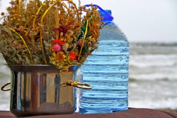 На Крещение депутаты вышли из Черного моря с новыми силами