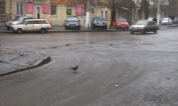 Одесса: Непогода