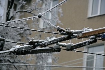 Стихийное бедствие в Одессе: из-за обледенения в городе массово попадали деревья