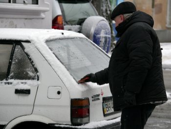 Стихийное бедствие в Одессе: из-за обледенения в городе массово попадали деревья
