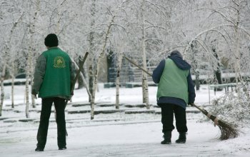 Стихийное бедствие в Одессе: из-за обледенения в городе массово попадали деревья