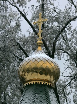 Стихийное бедствие в Одессе: из-за обледенения в городе массово попадали деревья