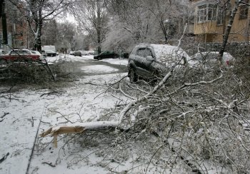 Стихийное бедствие в Одессе: из-за обледенения в городе массово попадали деревья